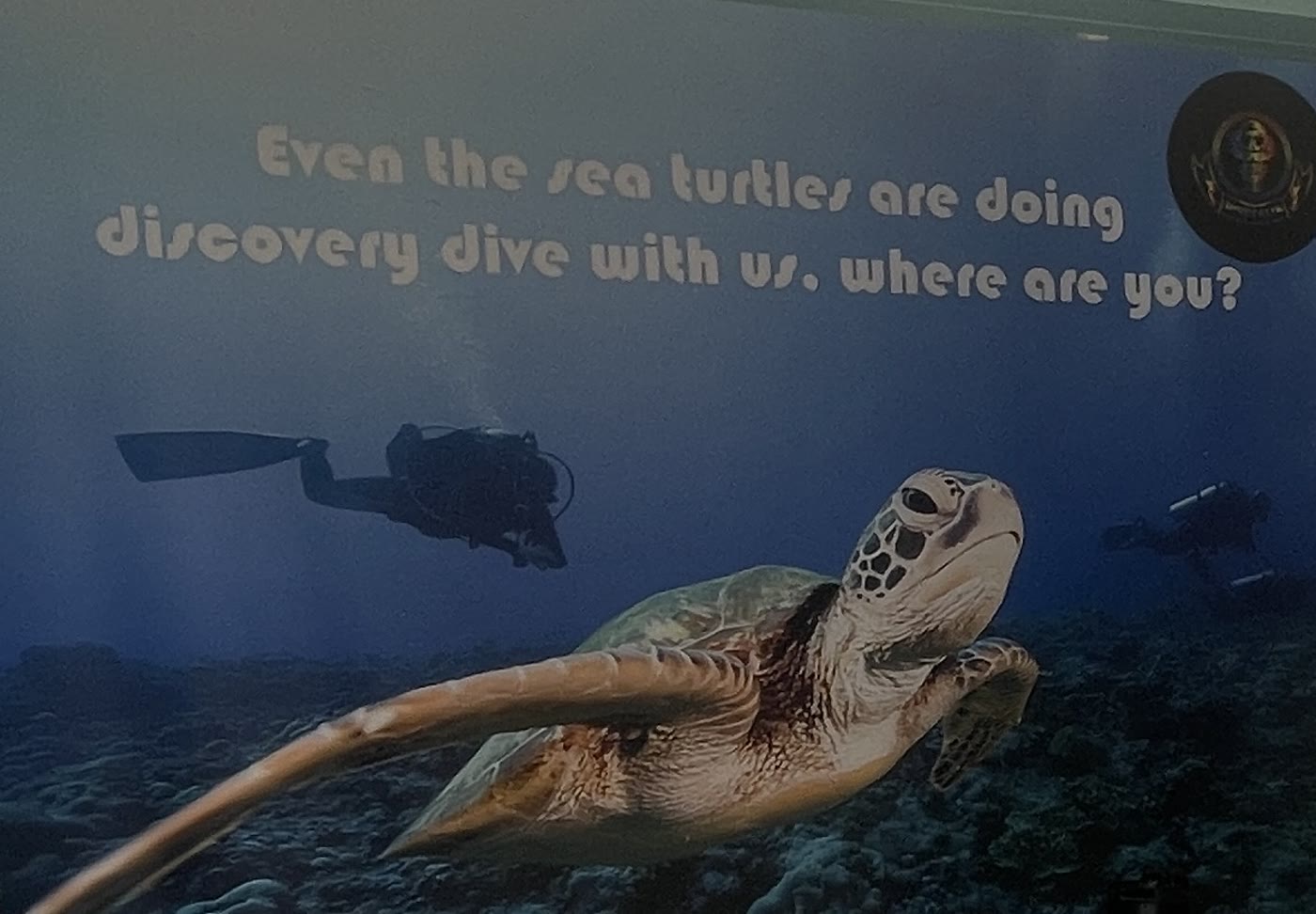 The open doors of the DiveTalia dive centre, scooters staged inside